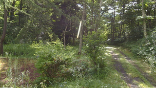 長野県菅平高原 ゆたか山荘 坂上 2026/07/27 08:15