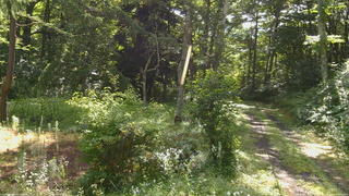 長野県菅平高原 ゆたか山荘 坂上 2026/07/27 08:30