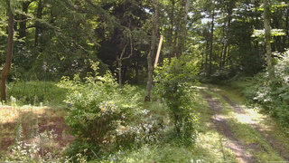 長野県菅平高原 ゆたか山荘 坂上 2026/07/27 08:45