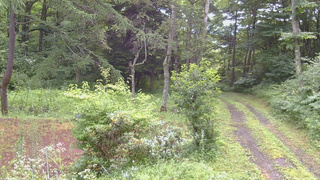 長野県菅平高原 ゆたか山荘 坂上 2026/07/27 09:00