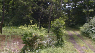 長野県菅平高原 ゆたか山荘 坂上 2026/07/27 10:15