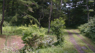 長野県菅平高原 ゆたか山荘 坂上 2026/07/27 11:30