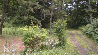 長野県菅平高原 ゆたか山荘 坂上 2026/07/27 11:45