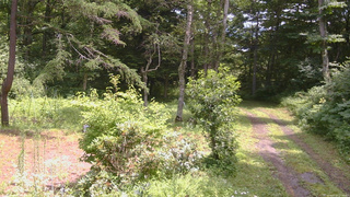 長野県菅平高原 ゆたか山荘 坂上 2026/07/27 12:00