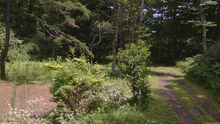 長野県菅平高原 ゆたか山荘 坂上 2026/07/27 12:30