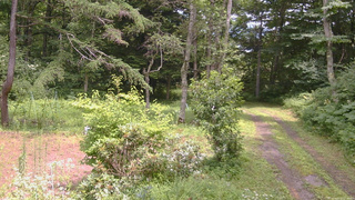 長野県菅平高原 ゆたか山荘 坂上 2026/07/27 12:45