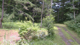 長野県菅平高原 ゆたか山荘 坂上 2026/07/27 13:15