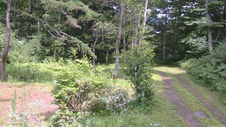 長野県菅平高原 ゆたか山荘 坂上 2026/07/27 13:30