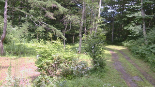 長野県菅平高原 ゆたか山荘 坂上 2026/07/27 13:45