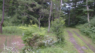 長野県菅平高原 ゆたか山荘 坂上 2026/07/27 14:00