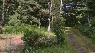 長野県菅平高原 ゆたか山荘 坂上 2026/07/27 14:30