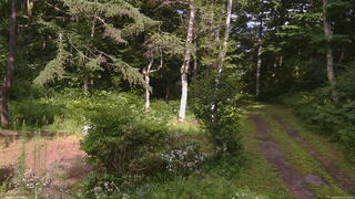 長野県菅平高原 ゆたか山荘 坂上 2026/07/27 15:15
