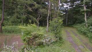 長野県菅平高原 ゆたか山荘 坂上 2026/07/27 15:30