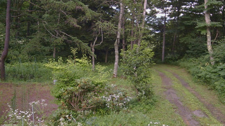 長野県菅平高原 ゆたか山荘 坂上 2026/07/27 15:45