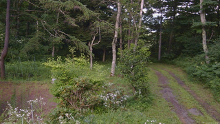 長野県菅平高原 ゆたか山荘 坂上 2026/07/27 16:00