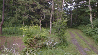 長野県菅平高原 ゆたか山荘 坂上 2026/07/27 16:15
