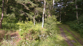 長野県菅平高原 ゆたか山荘 坂上 2026/07/27 16:30