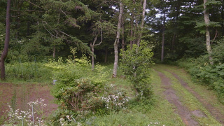長野県菅平高原 ゆたか山荘 坂上 2026/07/27 16:45