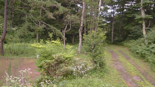 長野県菅平高原 ゆたか山荘 坂上 2026/07/27 17:00