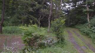 長野県菅平高原 ゆたか山荘 坂上 2026/07/27 17:15