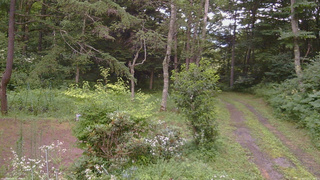 長野県菅平高原 ゆたか山荘 坂上 2026/07/27 17:30