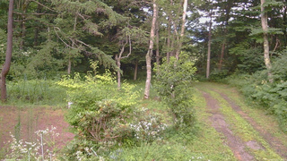 長野県菅平高原 ゆたか山荘 坂上 2026/07/27 17:45