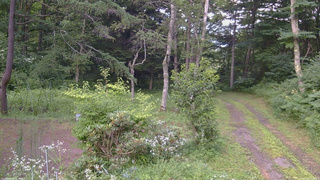 長野県菅平高原 ゆたか山荘 坂上 2026/07/27 18:00