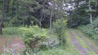 長野県菅平高原 ゆたか山荘 坂上 2026/07/27 18:15