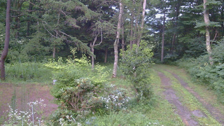 長野県菅平高原 ゆたか山荘 坂上 2026/07/27 18:45