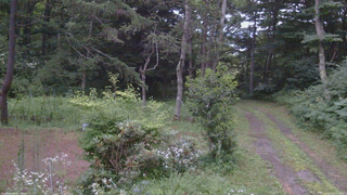 長野県菅平高原 ゆたか山荘 坂上 2026/07/27 19:00