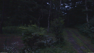 長野県菅平高原 ゆたか山荘 坂上 2026/07/27 19:15
