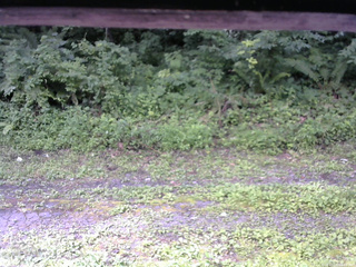 長野県菅平高原 ゆたか山荘 東側(坂下) 2026/07/28 08:45