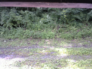 長野県菅平高原 ゆたか山荘 東側(坂下) 2026/07/28 09:00