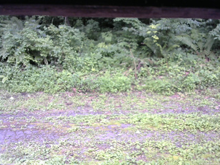 長野県菅平高原 ゆたか山荘 東側(坂下) 2026/07/28 10:15