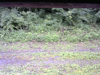 長野県菅平高原 ゆたか山荘 東側(坂下) 2026/07/28 10:45