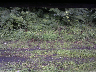 長野県菅平高原 ゆたか山荘 東側(坂下) 2026/07/28 18:45