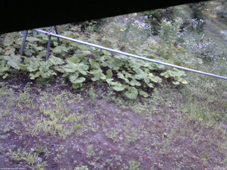 長野県菅平高原 ゆたか山荘 駐車場 2026/07/28 06:00