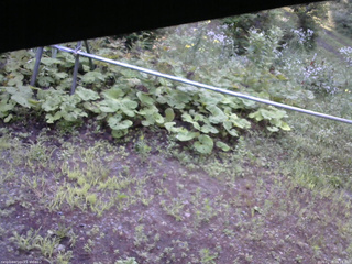 長野県菅平高原 ゆたか山荘 駐車場 2026/07/28 06:15