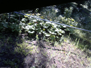 長野県菅平高原 ゆたか山荘 駐車場 2026/07/28 07:15
