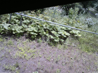 長野県菅平高原 ゆたか山荘 駐車場 2026/07/28 09:15