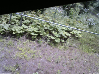 長野県菅平高原 ゆたか山荘 駐車場 2026/07/28 09:45