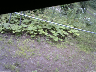 長野県菅平高原 ゆたか山荘 駐車場 2026/07/28 10:15