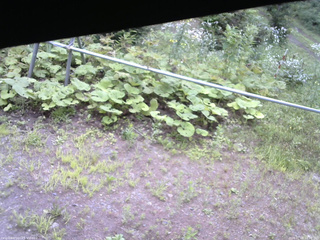 長野県菅平高原 ゆたか山荘 駐車場 2026/07/28 10:30