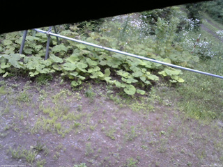 長野県菅平高原 ゆたか山荘 駐車場 2026/07/28 10:45