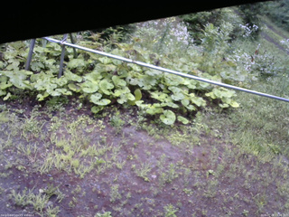 長野県菅平高原 ゆたか山荘 駐車場 2026/07/28 13:00