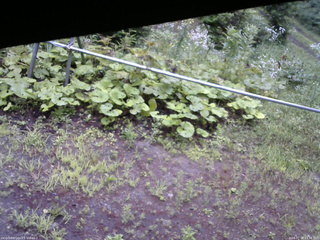 長野県菅平高原 ゆたか山荘 駐車場 2026/07/28 13:30