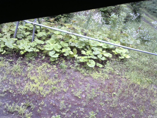 長野県菅平高原 ゆたか山荘 駐車場 2026/07/28 15:15