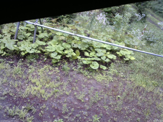 長野県菅平高原 ゆたか山荘 駐車場 2026/07/28 16:30