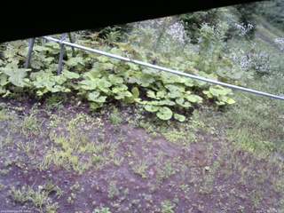 長野県菅平高原 ゆたか山荘 駐車場 2026/07/28 17:00