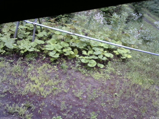 長野県菅平高原 ゆたか山荘 駐車場 2026/07/28 18:00